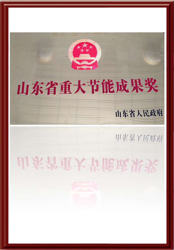 山東省重大節能成果獎