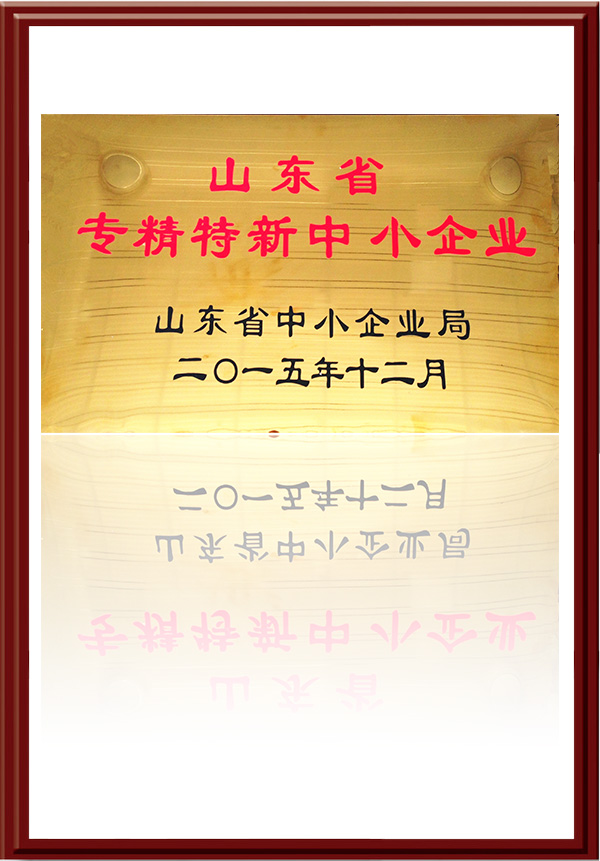 山東省專(zhuān)精特新中小企業(yè)